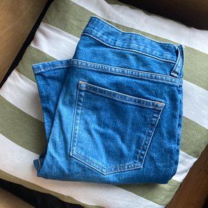 Everlane High Rise Skinny Jean